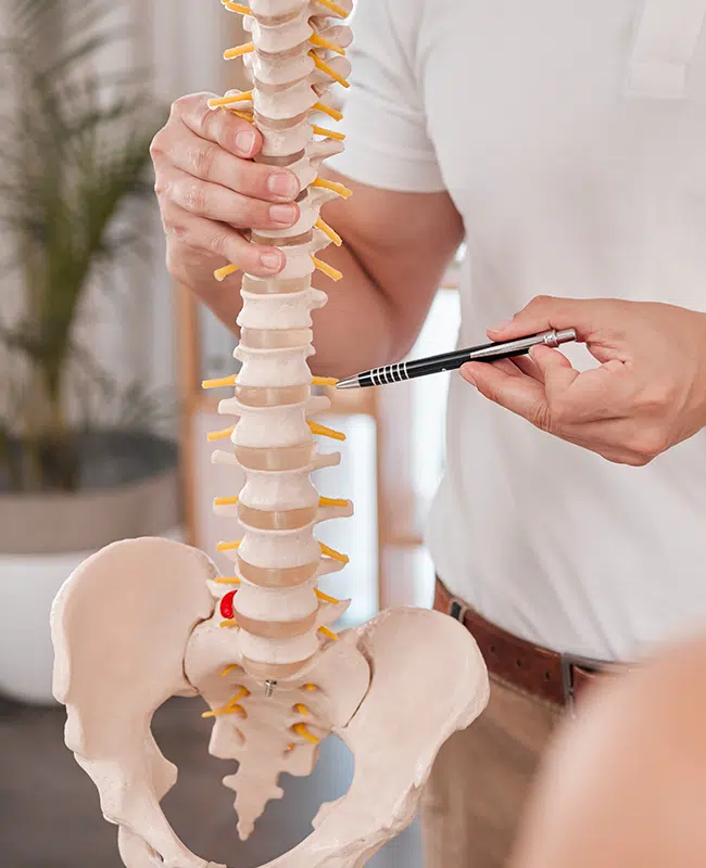 Spine Surgery