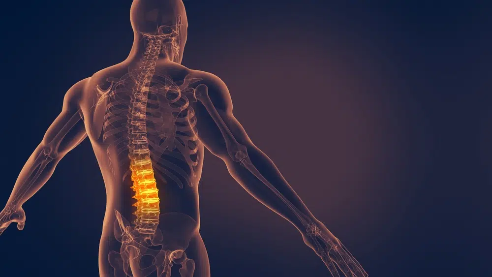 Digital illustration highlighting the human spine with emphasis on lumbar region for minimally invasive spine surgery.